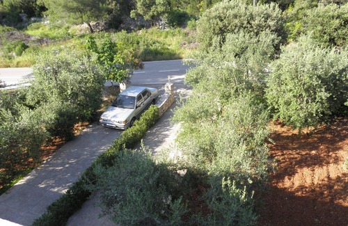 Muline Apartment | Apartments Zlatko (10444-A3) - Ugljan