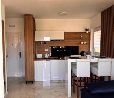 Veliko Gradiste Apartment | App HAMI