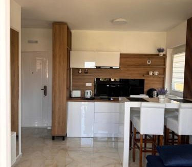 Veliko Gradiste Apartment | App HAMI