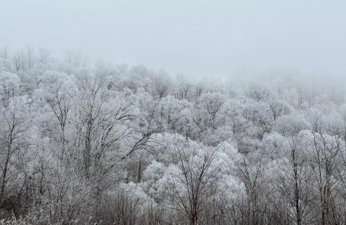 Wolf Laurel House | Appalachian Hideaway