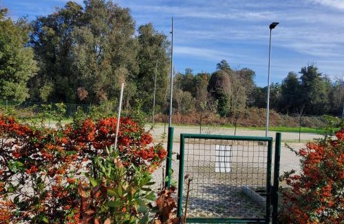 Calambrone Apartment | Appartamento 9 residance piviere