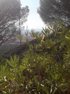 Buriano Apartment | Appartamento Poggio Biondo