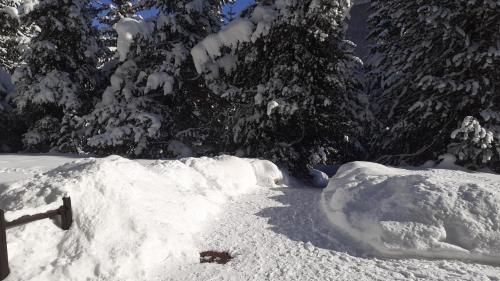 Pragelato Apartment | Appartamento Pragelato centro con giardino privato