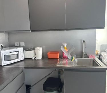 Saint-Orens-de-Gameville Apartment | Appartement climatisé Saint Orens N8