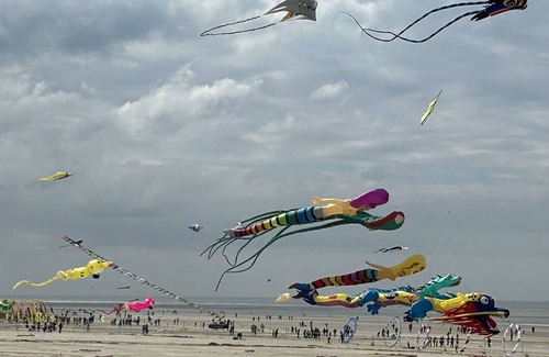 Berck-sur-Mer Apartment | Appartement à la Plage