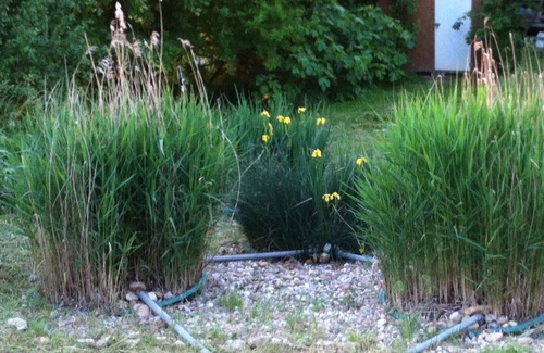 Marzens Apartment | Appartement Écologique Au Cœur du Tarn