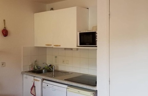 La Joue du Loup Apartment | Appartement 5P Dans Chalet Plein sud au Coeur de La Joue du Loup