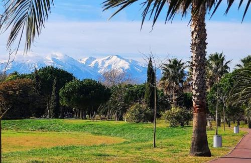 Saint-Cyprien Plage Apartment | Appartement 63 m2, tout confort, climatisé.