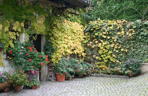 Schweighof Apartment | Appartement A4, 34qm, 1 Wohn-/Schlafzimmer, max. 2 Personen