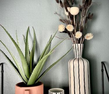 Orleans Apartment | Appartement ATHOS - Hyper Centre - Familiale