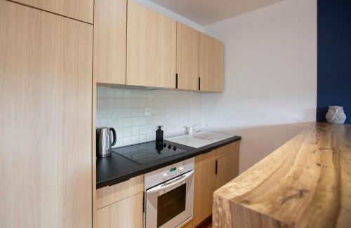 Colmar Centre Ville Apartment | Appartement cosy avec vue sur le marché