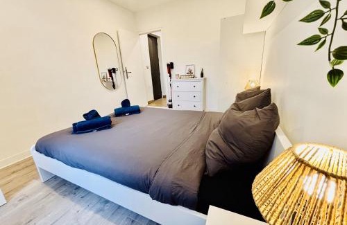 Saint-Etienne Apartment | Appartement cosy proche gare