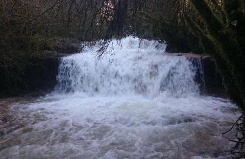 Dortan Apartment | Appartement dans le Massif du haut Jura