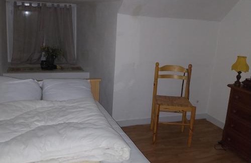 Saint-Martin-des-Plains Apartment | appartement dans un château