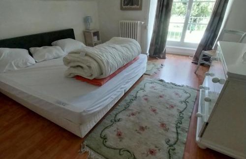 Saint-Martin-des-Plains Apartment | appartement dans un château