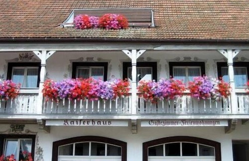 Uehlingen-Birkendorf Apartment | Appartement 2 mit Dusche/WC, Kochnische und Balkon