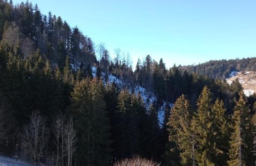 Hirmentaz Apartment | Appartement dernier étage au pied des pistes HIRMENTAZ