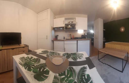 Lourdes Apartment | Appartement du Mouflon Vert, Dans Résidence de Tourisme 3 Étoiles