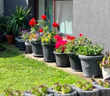 Apetlon Apartment | Appartement Ferienwohnung LANG