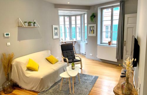 Colmar Centre Ville Apartment | Appartement Hyper-centre Colmar