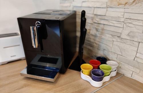 Evian-les-Bains Apartment | Appartement Hyper Centre Evian - Leman Odyssey