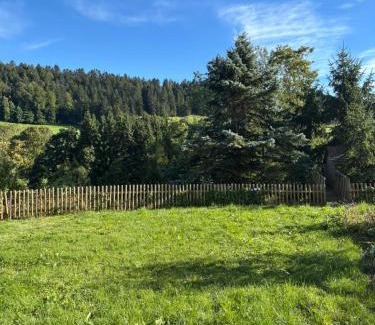 La Chaux-de-Fonds Apartment | Appartement le Refuge du Cerisier