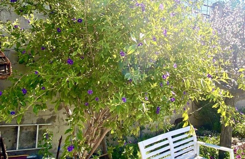 Niolon Apartment | Appartement Nadia, Balcon vue mer