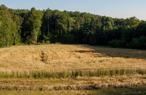 Straden Apartment | Appartement Nussbaum - Weingartenrefugium Rosenberg