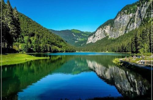 Station de Drouzin le Mont Apartment | Appartement Portes du Soleil à Le Biot avec ménage et WIFI inclus