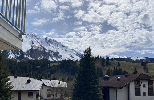 Soerenberg Apartment | Appartement ROTHORN/2 Bedrooms