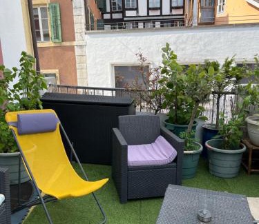 La Neuveville Apartment | Appartement SEPHORA accès terrasse commune
