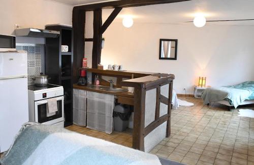 Mennetou-sur-Cher Apartment | Appartement Terrasse à Mennetou sur Cher "La Cité Médiéval