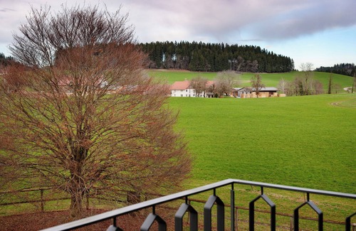 Wangen im Allgaeu Apartment | Appartement with Balcony and Wi-Fi