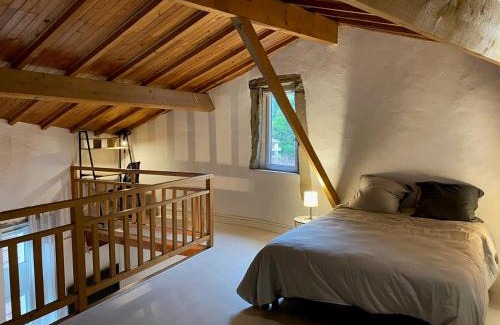 Voreppe Apartment | Appartements dans bâtiment historique, au cœur du vieux Voreppe