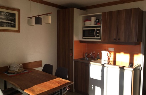 Bergers Apartment | Appt summer/winter foot of Alpe d'Huez balcony pool sauna covered parking