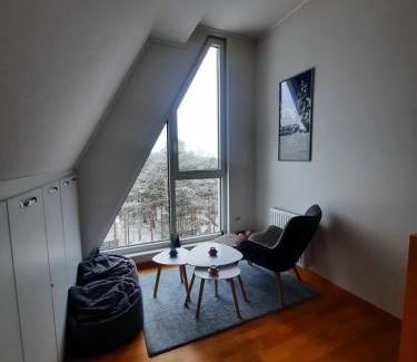 Divcibare Apartment | Aprtman Divčigora C14