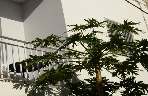 La Calera Apartment | Apt. Orone Nº 3 - Two Bedroom Apartment, Sleeps 4