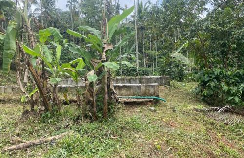 Sulthan Bathery House | ARAVON Homes