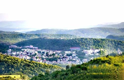 Arbanasi House | ARBANASHKI STYLE-Panoramic View with JACUZZI, Summer-Winter terrace, KIDS Area