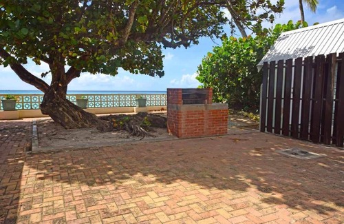 Worthing House | Arcadia Summary: Arca