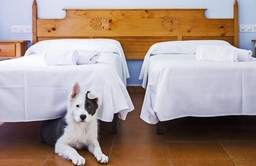 Camarmena Hotel | Arcea Hotel Mirador de Cabrales