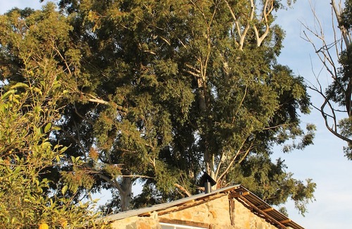 Ardmore House | Ardmore Guest Farm