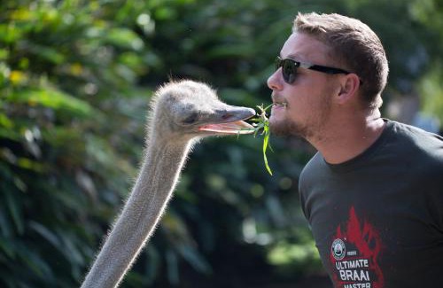 Amatola Coastal Resort | Areena Riverside Resort