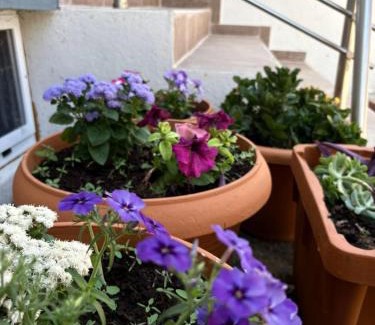 Fanari House | Areti