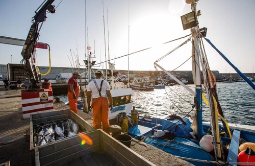 Arguineguin Apartment | Arguineguín Bay Apartments