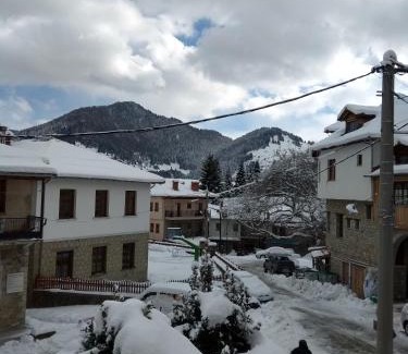 Metsovo House | Arka Metsovo