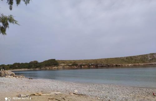 Arkoi Hotel | Arki Island-Katsavidis