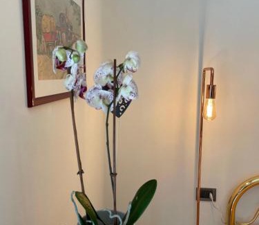 San Venanzio House | Armonia Affittacamere