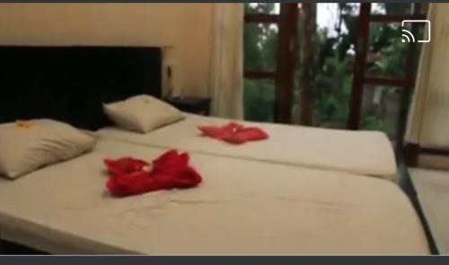 Tegallalang House | Arnata Guest House & Pasraman Yoga Lokanata