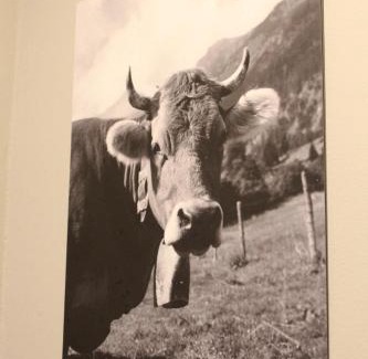 Munchen District Hotel | ARRIVEL Apartements Heimstetten - bisher Novitel